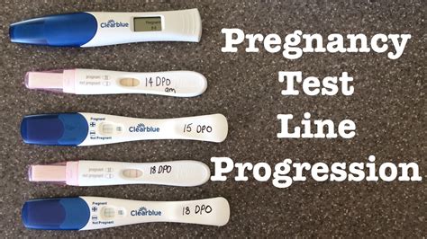If you're well, it's really important you go to all your appointments and scans for. Pregnancy Test Line Progression - pregnancy test