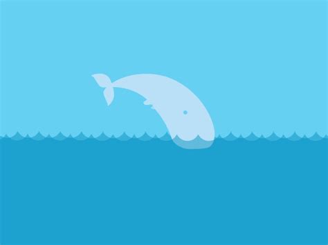 Moby Dick By Coralie Binder On Dribbble