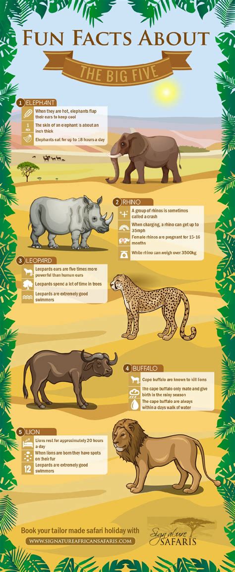 One of the amazing animal facts is that with a faster metabolism and small bodies, animals can see in slow motion. Top ten Tourist attractions in Kenya | Africa infographic, Africa day, Africa craft