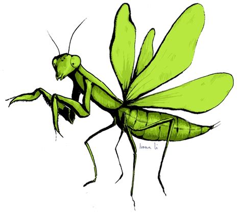 The Amazing Art Of Entomologists Bug Squad Anr Blogs