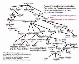 Adam And Family Tree For Kids