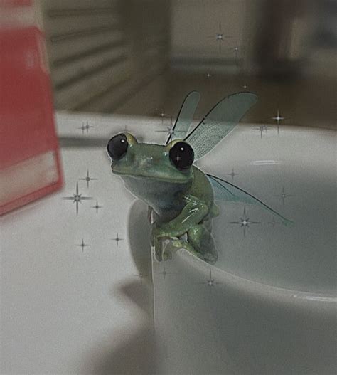 Cute Frog Pfp Aesthetic