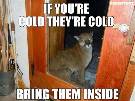 If Youre Cold Theyre Cold Meme Funny Animal Pictures Funny Animals