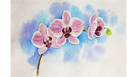 Drawing Lessons How To Draw An Orchid Whatercolour Flower Orchids Painting Flower Painting
