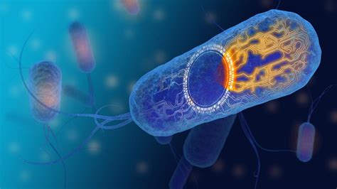 Publication Of Data For Synb1020 A Potential Treatment For