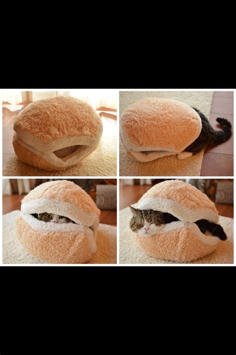 130 results for lol fluffy pets. Cat bed | Fluffy cat, Giant cat, Cat bed