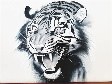 How To Draw A Roaring Tiger Step By Step Drawing Guid