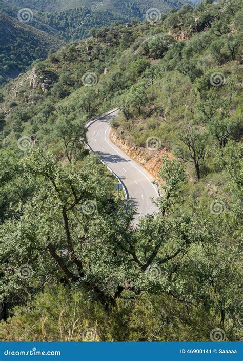 Top View Of Mountain Road With Curves Stock Image Image Of Direction