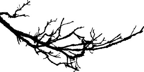 Tree Branch Silhouette Clip Art Library