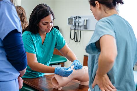 what bachelor degree do i need for physician assistant