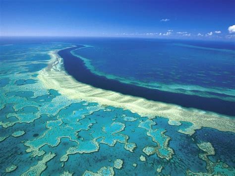 The Great Barrier Reef Is The Worlds Largest Coral Reef System