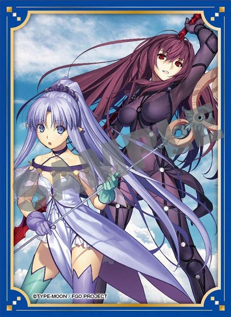 Fategrand Order Lancer Scathach Shishou And Medea Lily Caster Sleeves