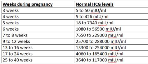 Hcg Human Chorionic Gonadotropin Levels Pregnancy Test