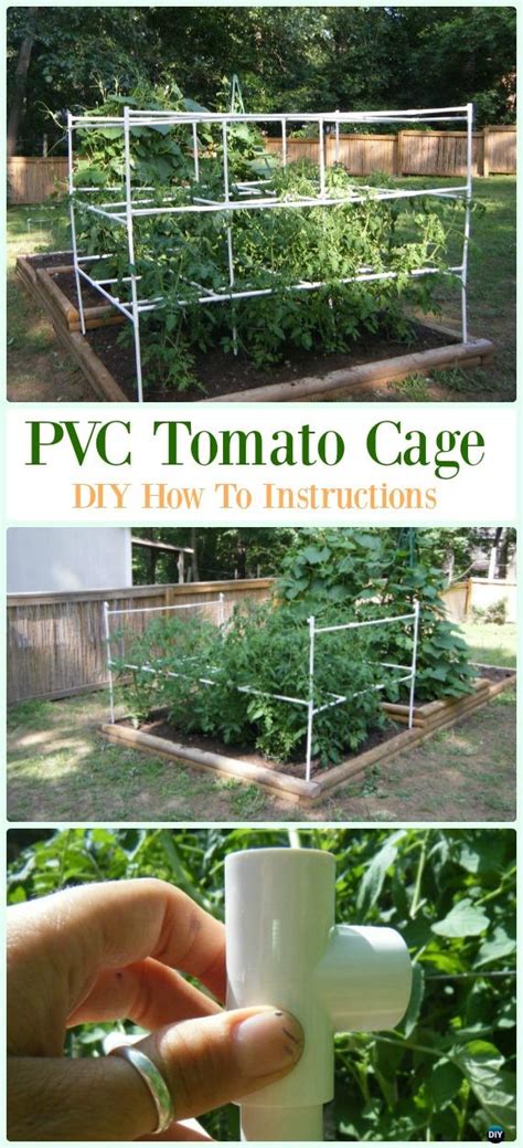 Pvc Tomato Cage Diy Instructions Low Budget Diy Pvc Garden Projects