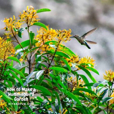 How To Make A Hummingbird Garden A Simple Guide For Designing A Garden