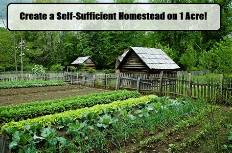 Start A Self Sufficient Homestead On 1 Acre The