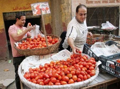 The Worlds Biggest Tomato Producing Countries All About Agriculture