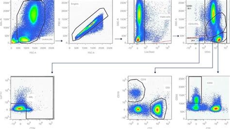 Flow Cytometry Applications