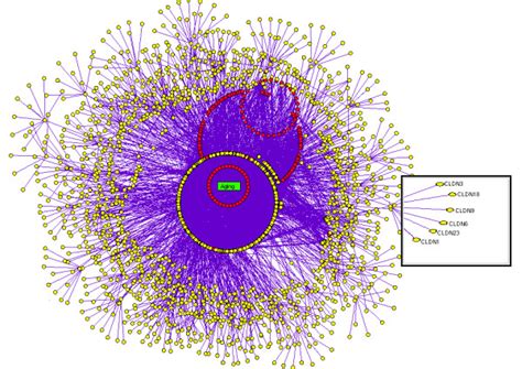 Disease Protein Network Dpn In Dpn Each Nodes Seed And Enriched