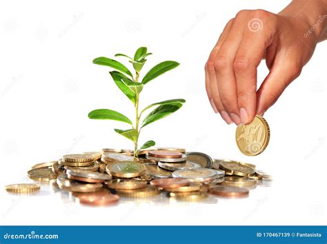 Invest Money And Save For The Future Stock Image Image Of Success Invest 170467139
