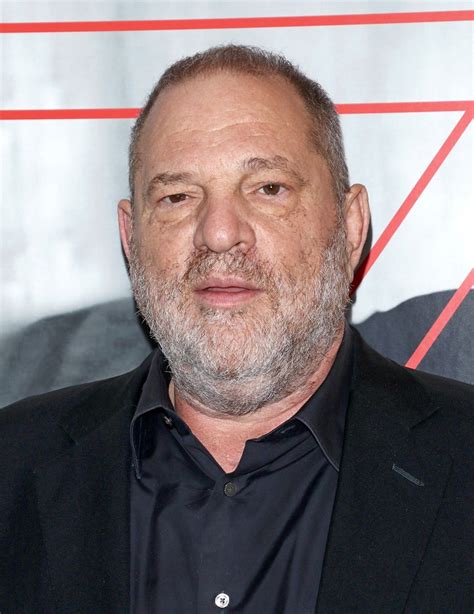 Harvey weinstein hit with new indictment by l.a. Harvey Weinstein will reportedly be fighting his ...