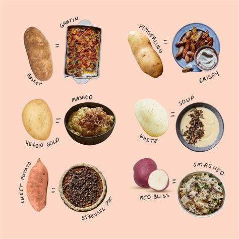 15 Different Types Of Potatoes With Pictures Types Of Potatoes Food