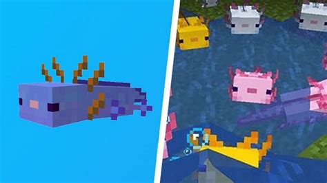 Blue Axolotls In Minecraft 117 Caves And Cliffs Update All You Need To Know