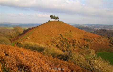 Colin Tracy Photography And Painting Colmers Hill 3 Bridport