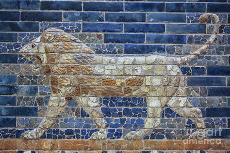 Ancient Babylon Lion Photograph By Patricia Hofmeester Pixels