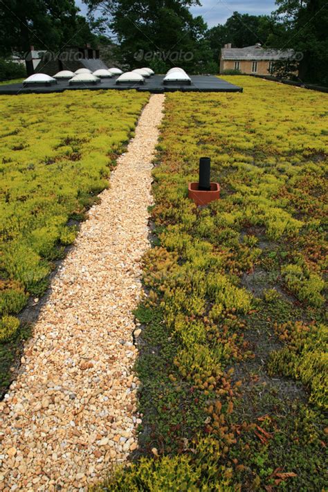 Green Roof Images Search Images On Everypixel