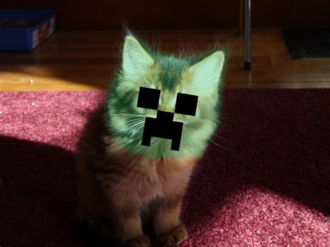 Image 95117 Minecraft Creeper Know Your Meme
