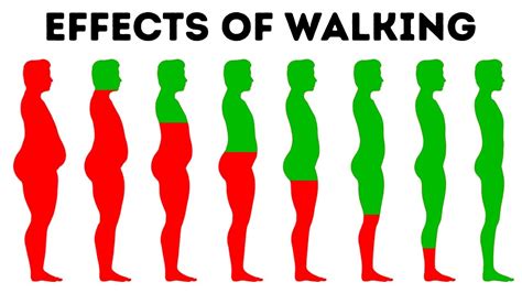 How's your day coming along? What Will Happen to Your Body If You Walk Every Day - YouTube