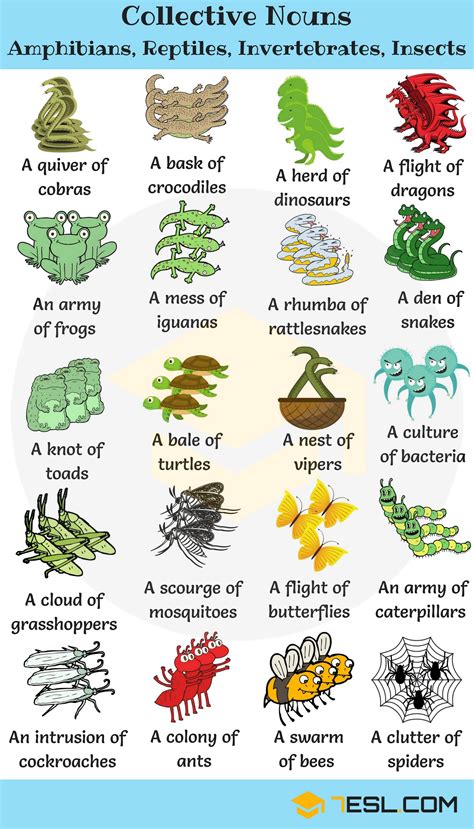 Top 121 What Are Groups Of Different Animals Called