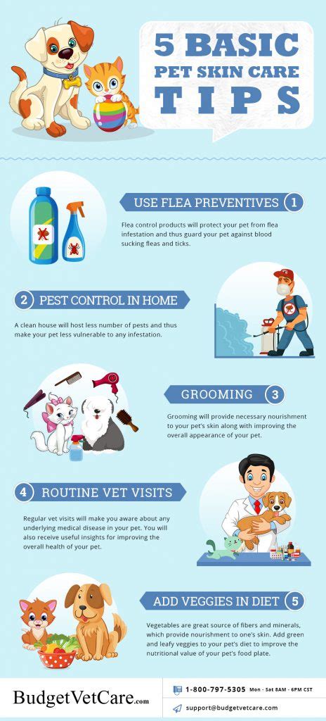 Pet Skin Care Tips Basic Way To Keep Your Pet Healthy And Happy