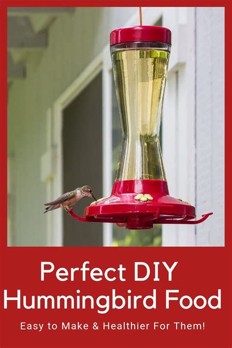 How to make the ultimate corn. The Perfect Homemade Hummingbird Food Nectar | Recipe ...