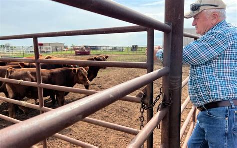 Beef Cattle Tour Gives Farm Bureau Members New Perspective Ideas On Cattle Business