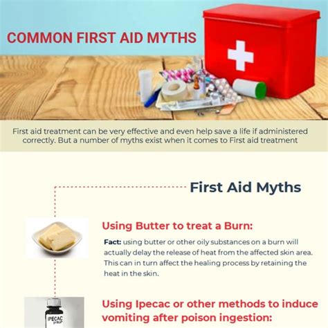 10 Common First Aid Myths And Mistakes Pdf