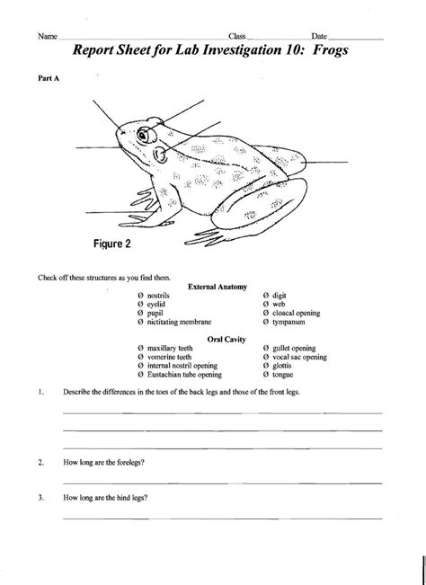 30 Frog Dissection Worksheet Answer Key Education Template Anatomy