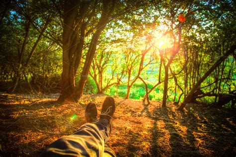 Relaxing In The Forest ~ Nature Photos ~ Creative Market
