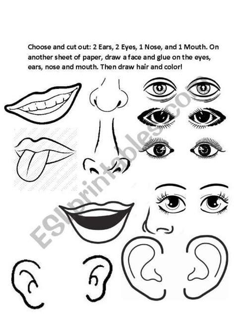 9 Eyes Ears Nose Mouth Face Worksheet Preschool Kindergarten