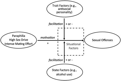 The Motivation Facilitation Model Of Sexual Offending Michael C Seto