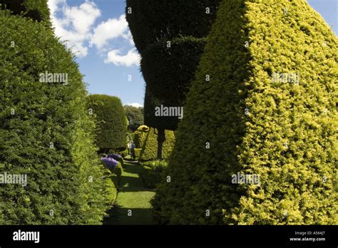 Levens Hall Topiary Garden Lake District Uk England Stock Photo Alamy