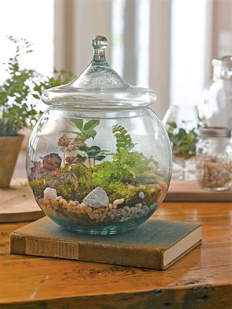 So, why do we recommend completely diy over a diy terrarium kit? Terrarium Supplies: DIY Terrarium Kit | Gardener's Supply