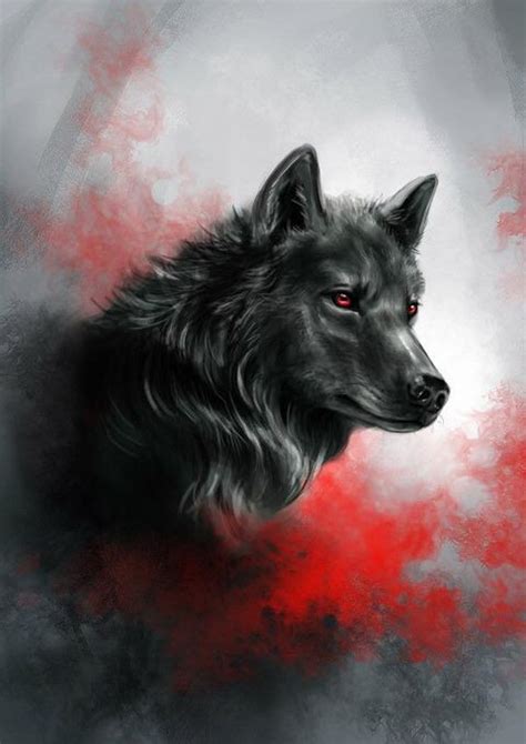 Wolf Images Wolf Photos Wolf Pictures Artwork Lobo Wolf Artwork