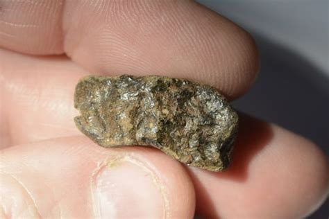 Camel Donga Meteorite Individual Weighing 446g Msg Meteorites