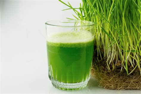 11 Amazing Benefits Of Drinking Wheatgrass Juice
