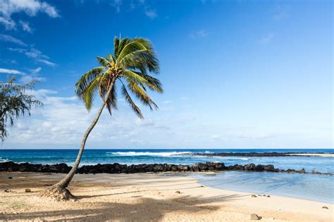 15 Best Beaches In Kauai The Crazy Tourist Poipu Beach Kauai Beach