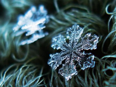 The Natural Beauty Of Snowflakes Luvthat