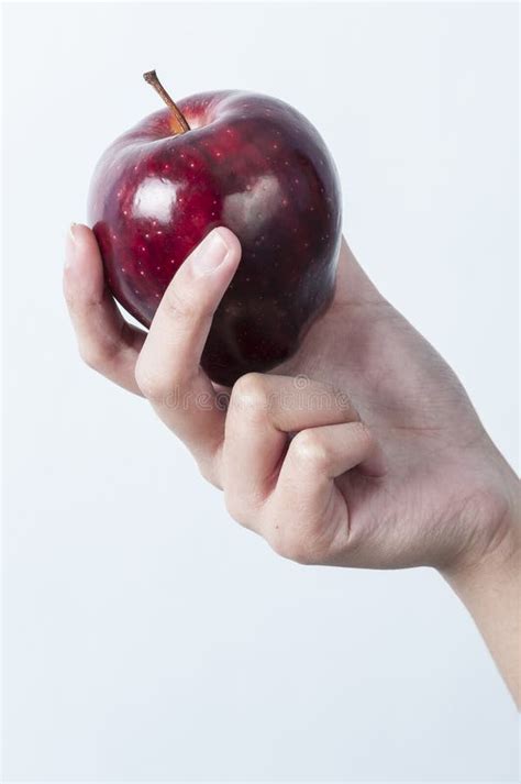 Hand Hold Apple Stock Image Image Of Hand Lifestyle 27931549