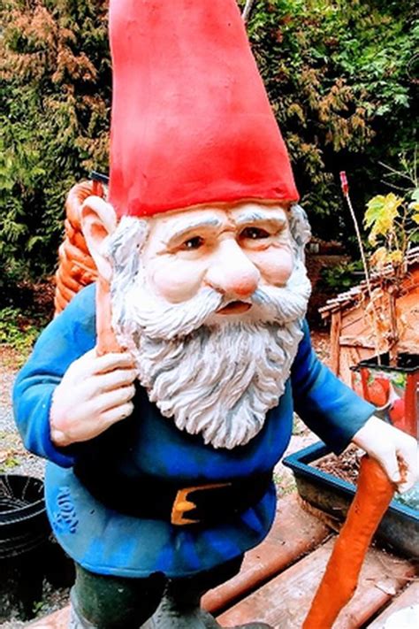 Antique Garden Gnomes Classifieds For Jobs Rentals Cars Furniture